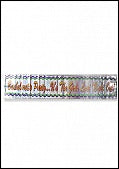 Bachelorette Party Banner